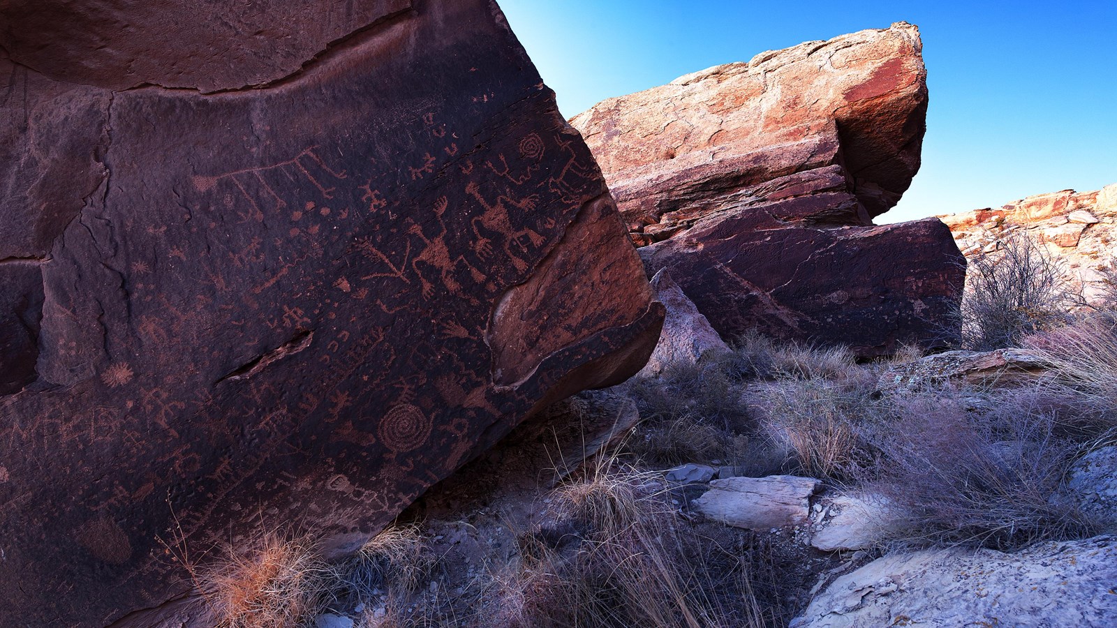 Petroglyph-covered boulders at Newspaper Rock