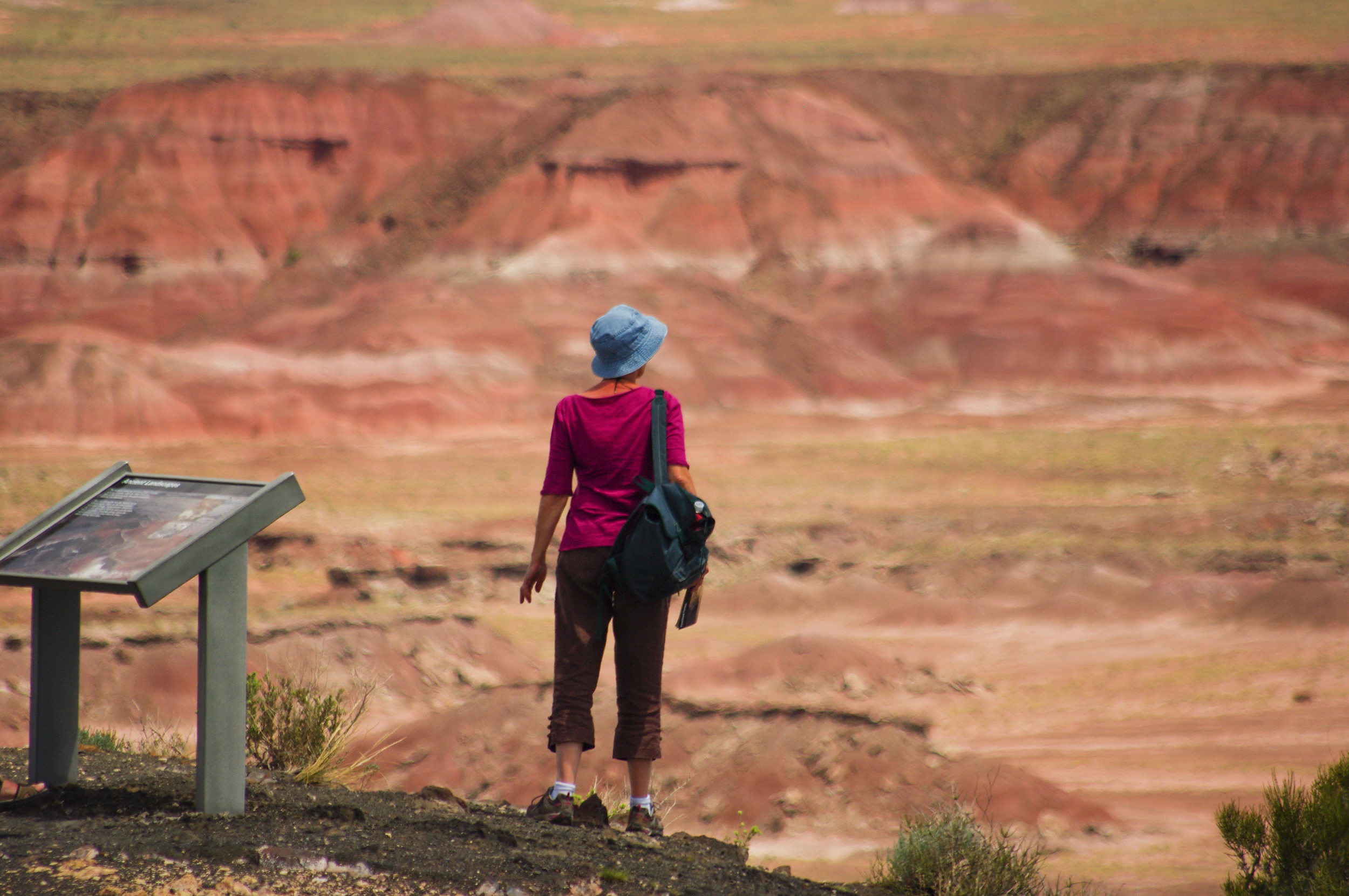 Visitors walking the Painted Desert Rim Trail above banded desert hills