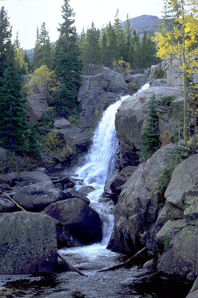 Alberta Falls cascading through granite boulders