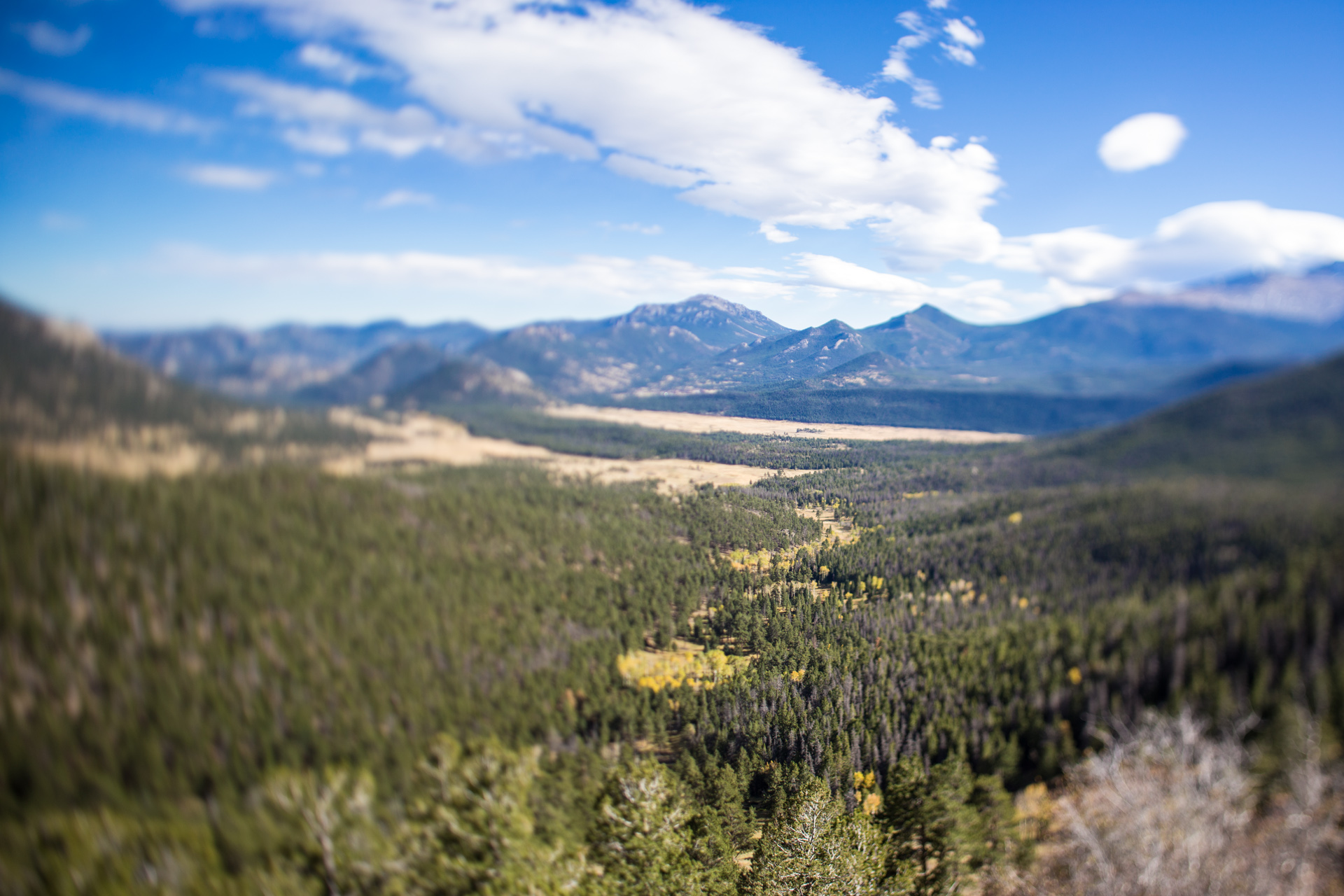Autumn tundra and distant Longs Peak along Trail Ridge Road
