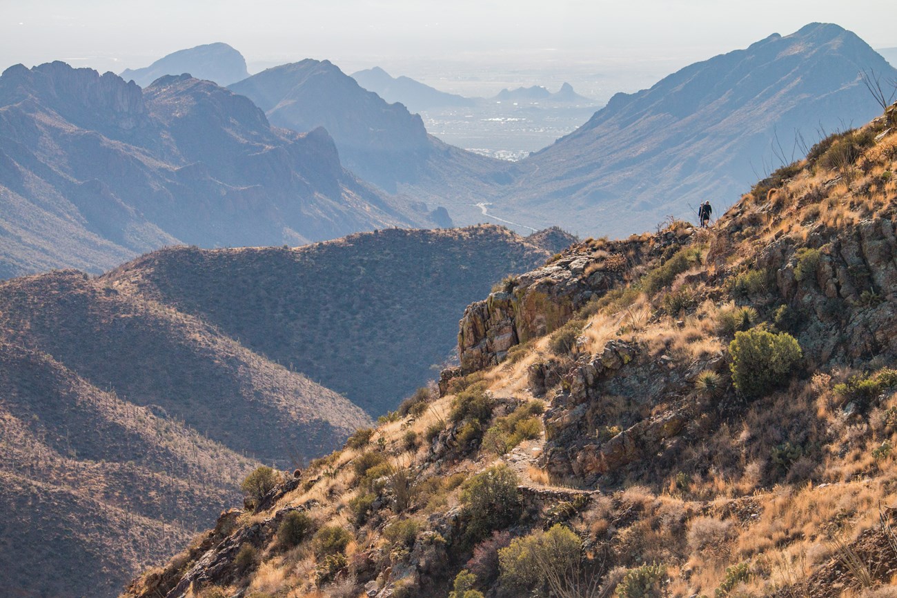 Wasson Peak in the Tucson Mountain District