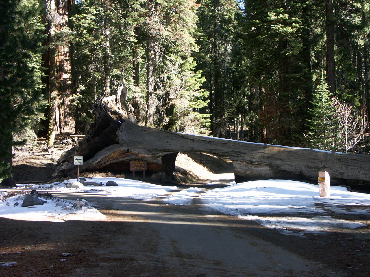 A car passing through the cut opening in Tunnel Log
