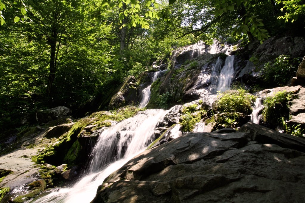 Dark Hollow Falls cascading through Shenandoah forest