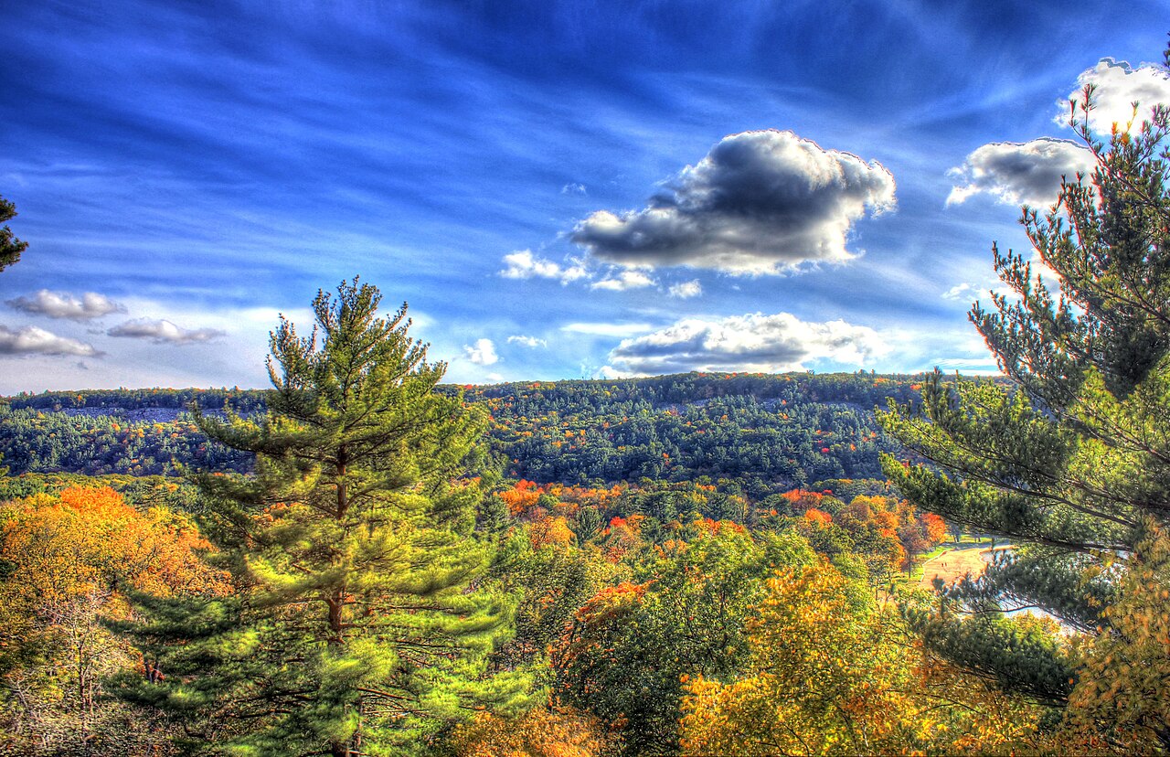 Forest and quartzite bluffs above Devil's Lake