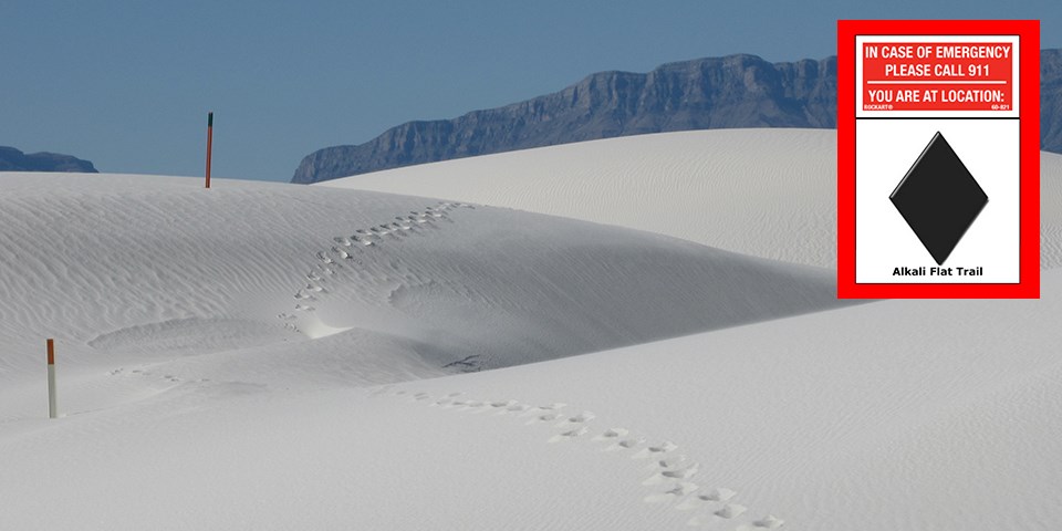 Open white dunes along the Alkali Flat area
