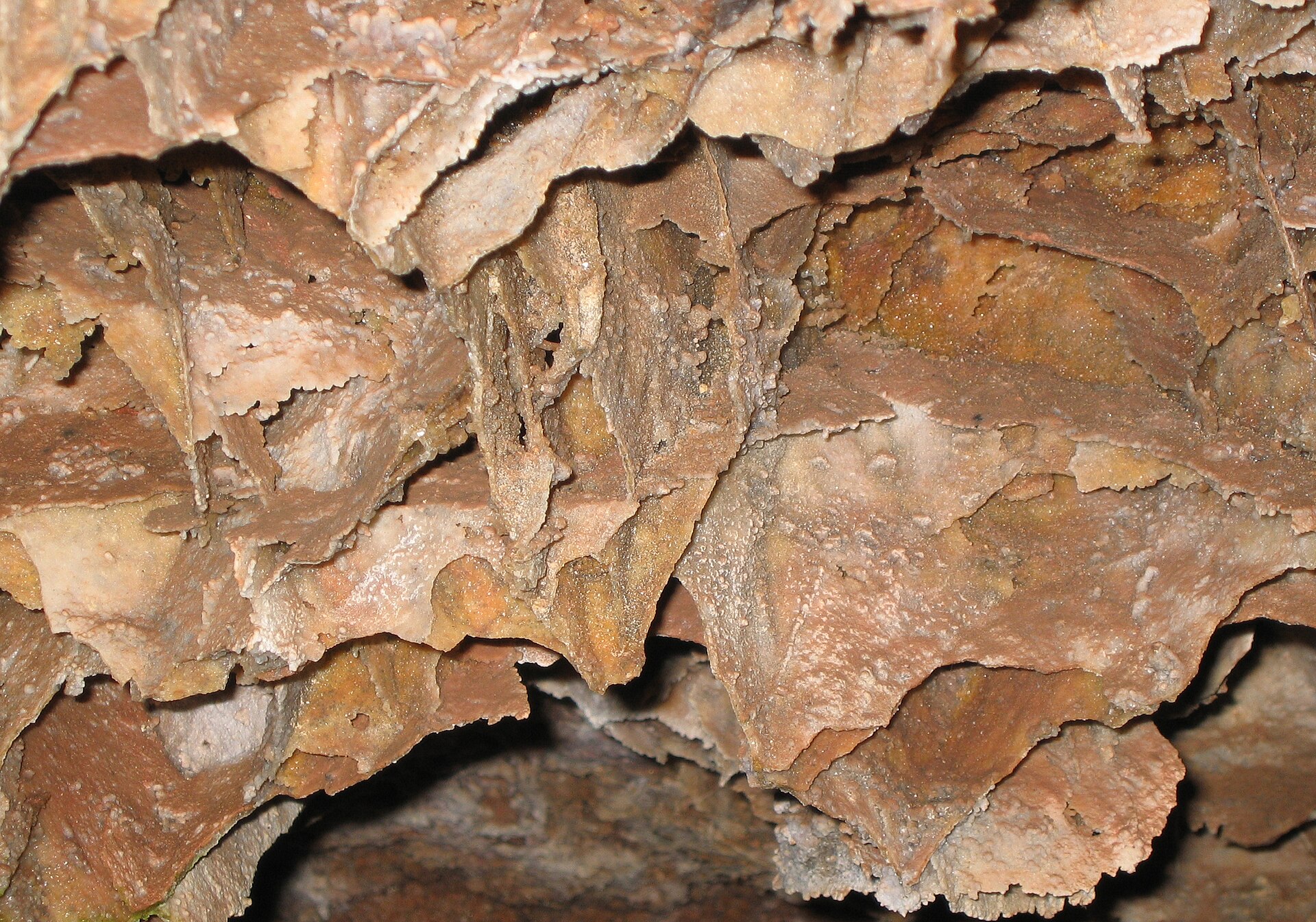 Honeycomb-like boxwork formations inside Wind Cave
