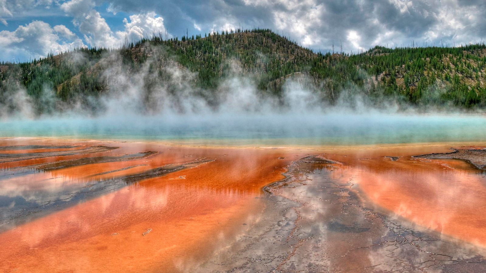 Steam rising from Grand Prismatic Spring and its orange microbial mats