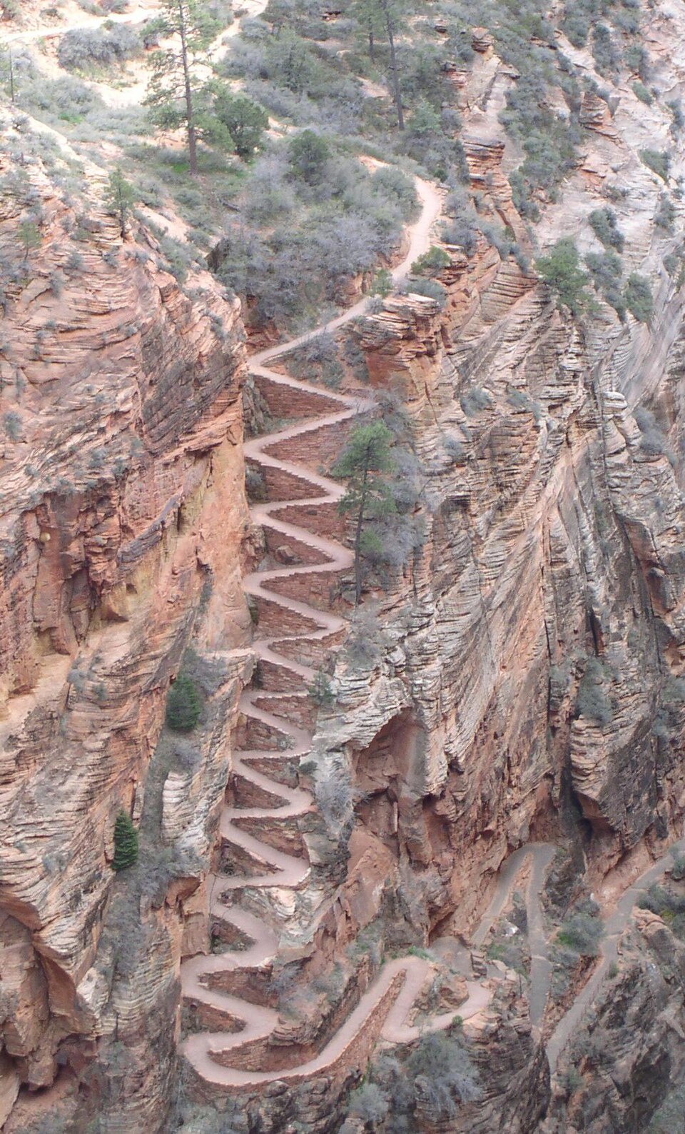 The West Rim Trail climbing through Zion's high country